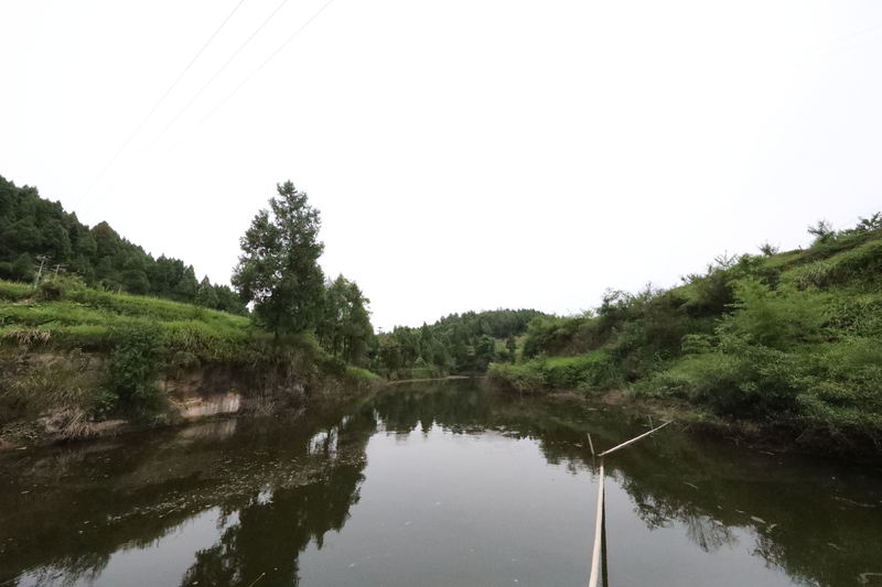 DA1A9123_看图王_看图王.jpg