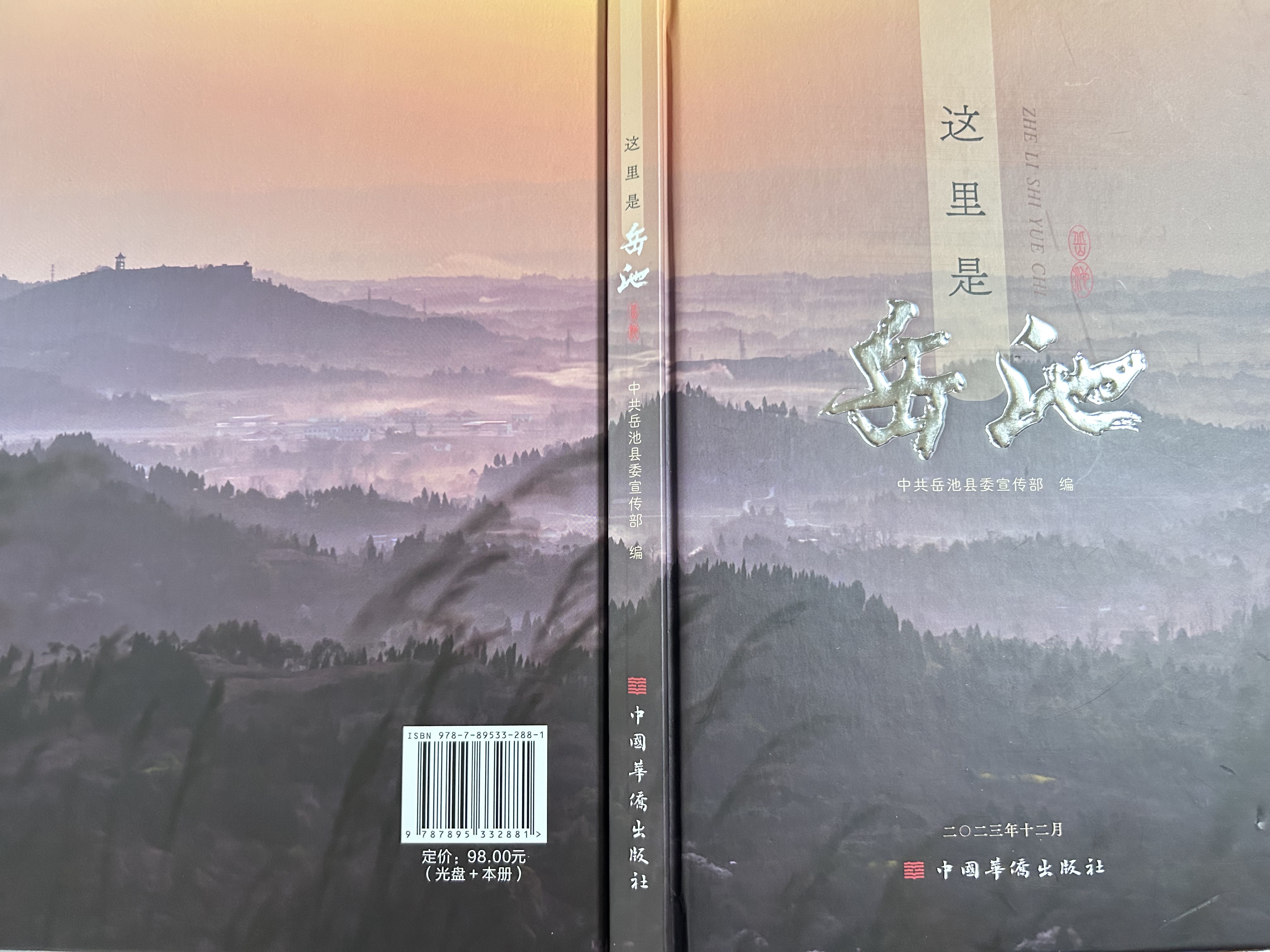 11.15 《这里是岳池》封面.png