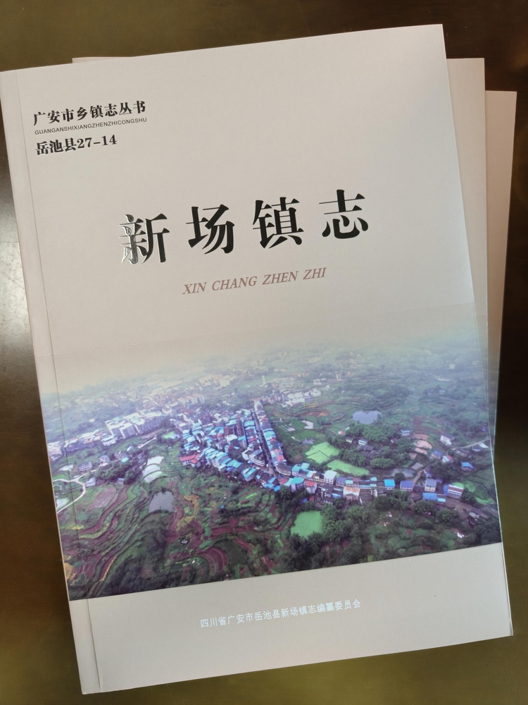 《新场镇志》封面.jpg