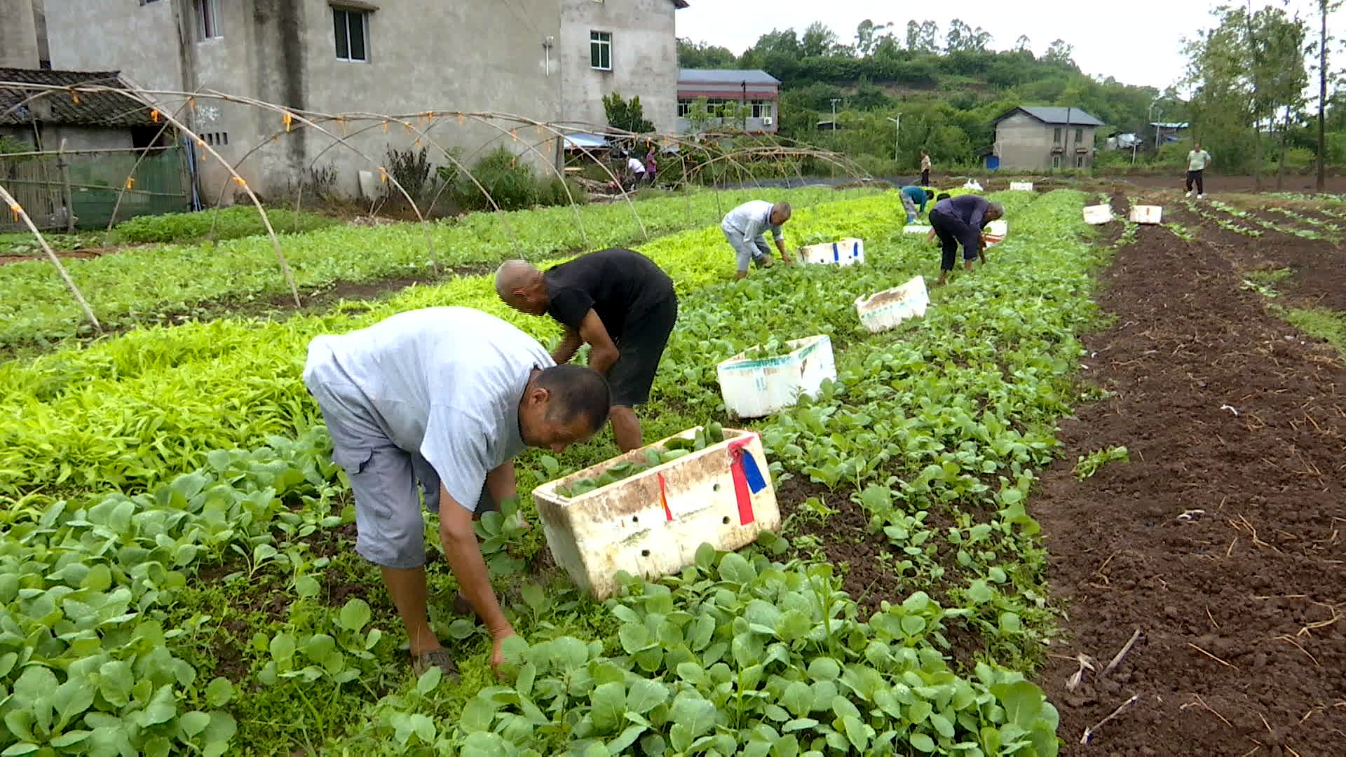 ee2718e488f34b2086392277730e5eb4