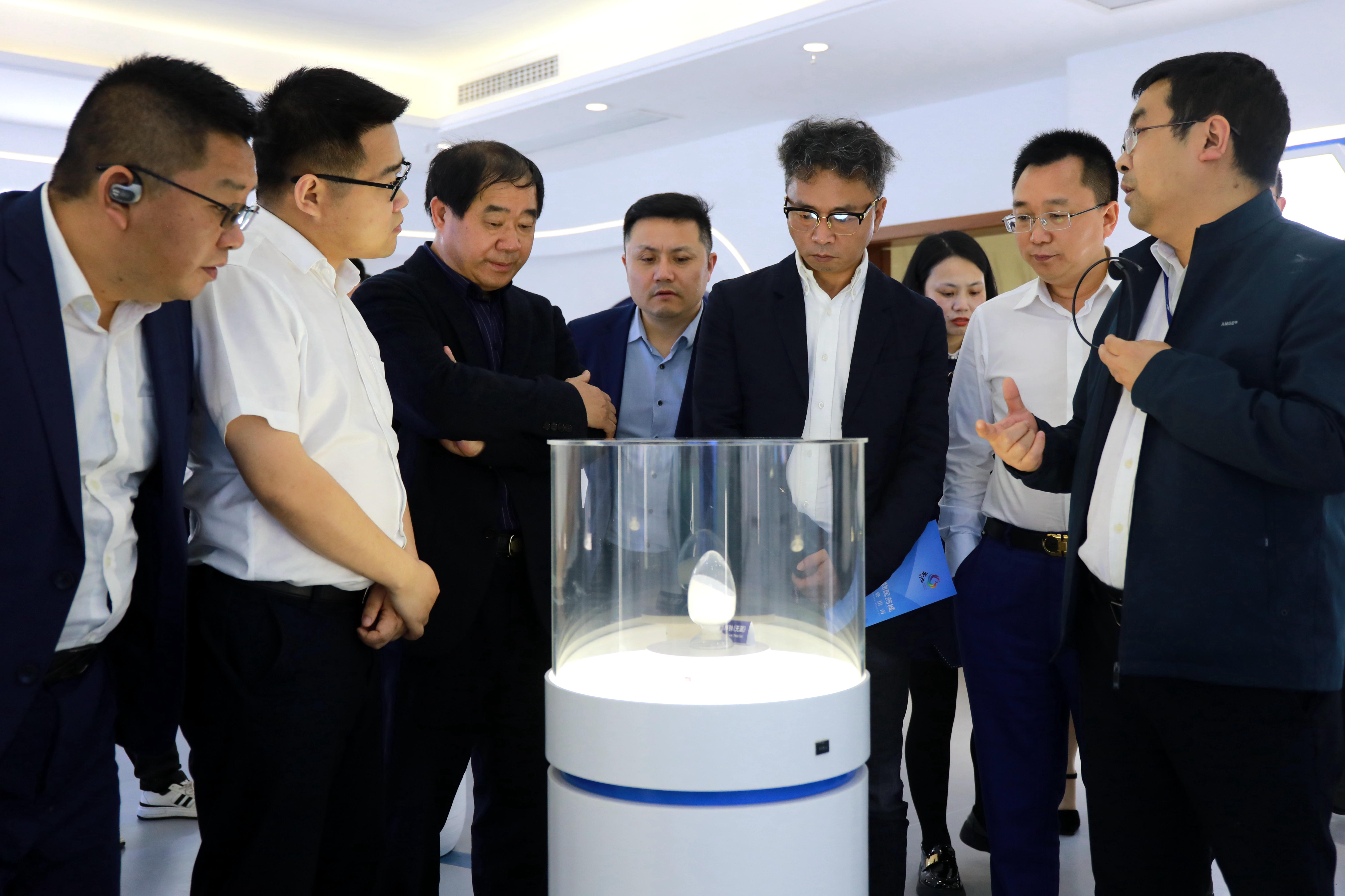杭州市广安商会企业家来岳考察.jpg