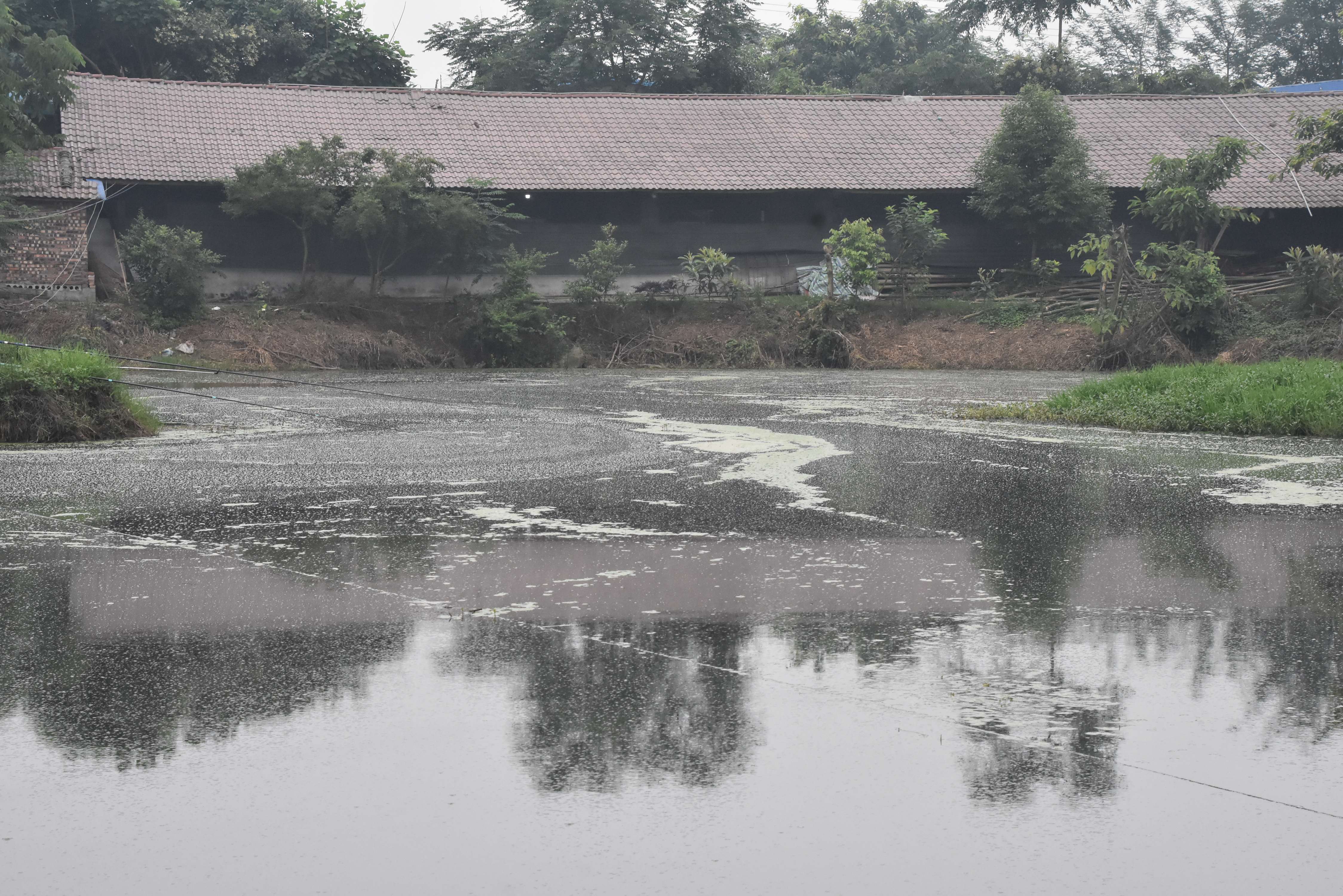 DSC_6080.jpg
