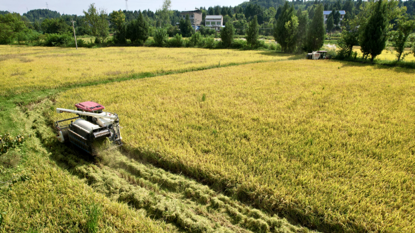 wechat_2025-09-12_004352_565